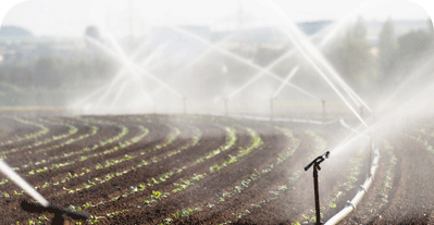 Sprinklers Water Crops