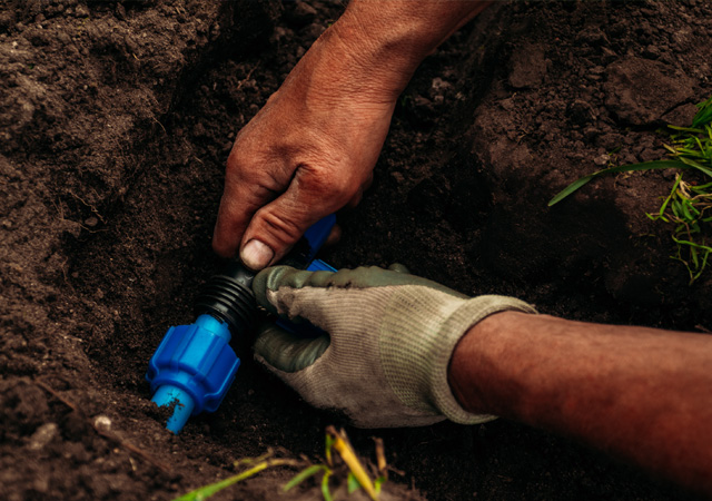 Underground Drip Irrigation Serves Two Purposes