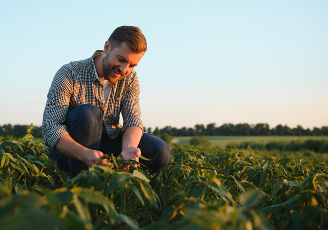 Young Grower Packer Running At Full Speed